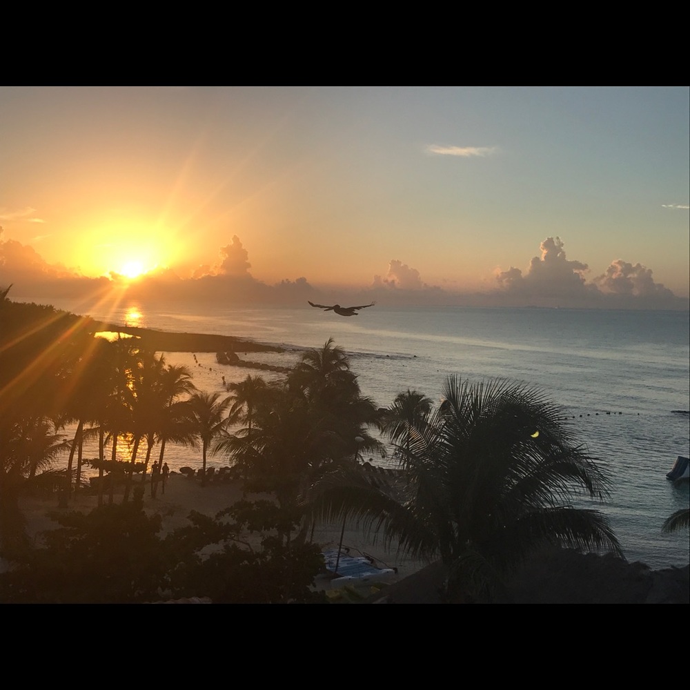 Meet your Posher, Lorena